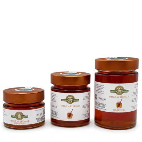 Blütenhonig aus Tignale - 500 g